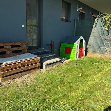 Apartament 2 Camere Narcis 브라쇼브 외부 사진