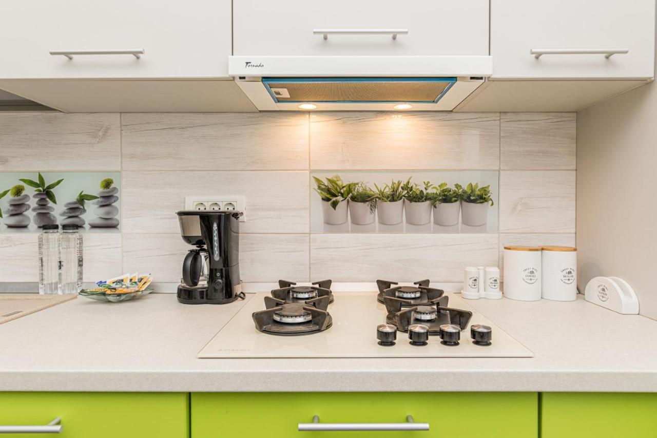 Apartament 2 Camere Narcis 브라쇼브 외부 사진
